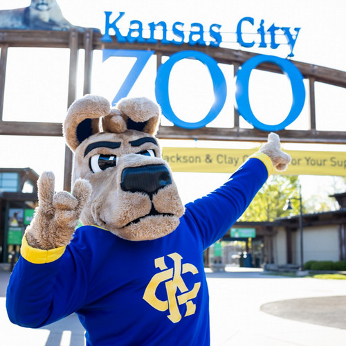 KC Roo looks happy to be standing in front of the sign for the Kansas City Zoo & Aquarium on Roos at the Zoo Day. He makes the RooUp hand sign with one of is paws.