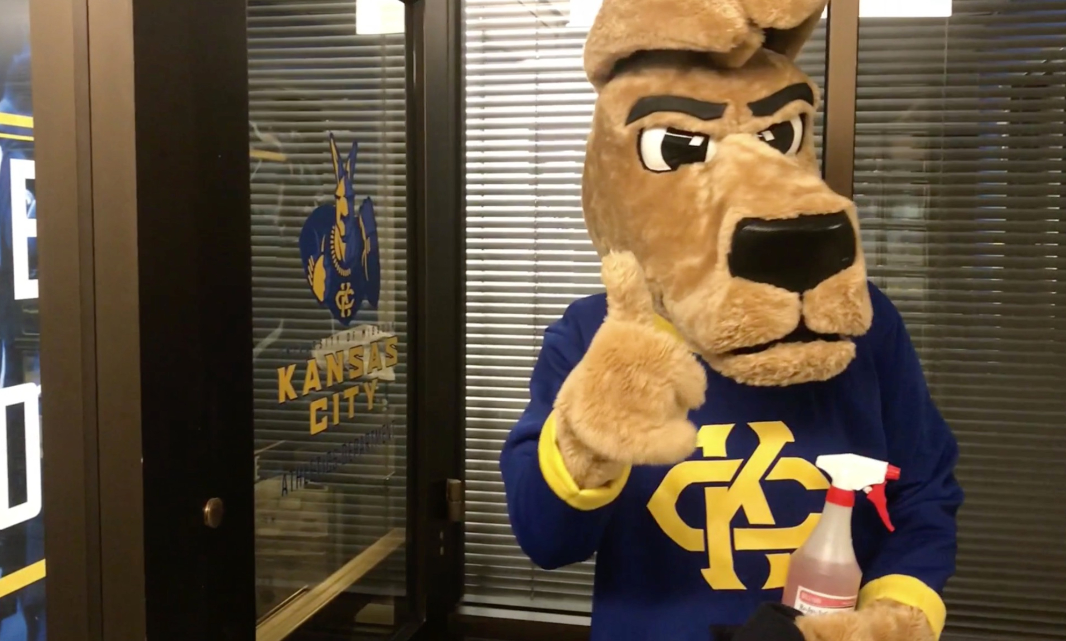 Mascot Kasey Roo participates in campus cleanup