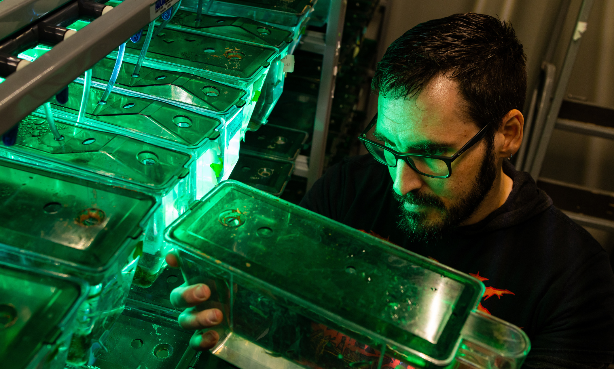 Researcher examines samples in a lab.