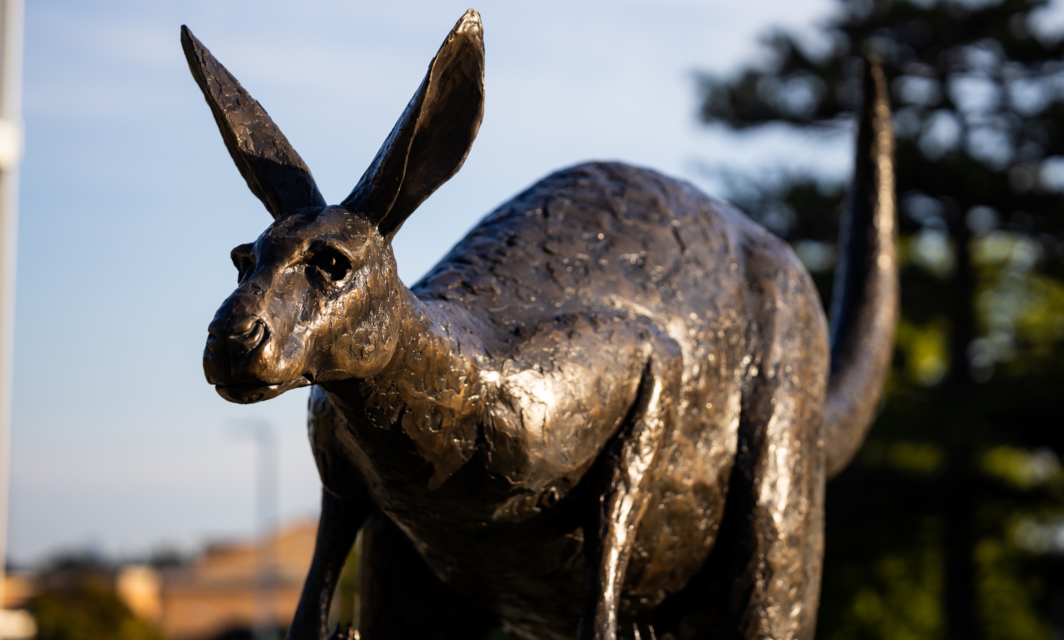 A statue of a kangaroo 